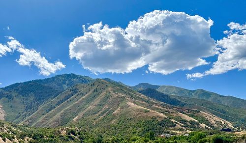 2056 Maple Hills Cir, Mapleton, UT, 84664 | Card Image