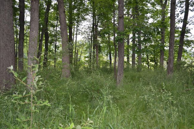 4500 S 42 Nd St, Home with 0 bedrooms, 0 bathrooms and null parking in Climax MI | Image 43