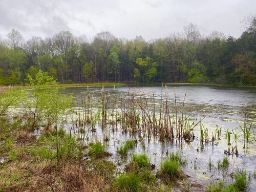 0 Hwy 64 Arnold Rd E, Wartrace, TN, 37183 | Card Image