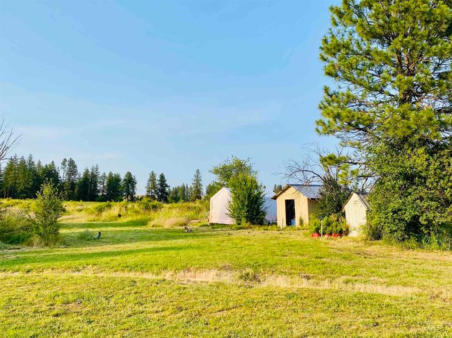 View of yard featuring an outbuilding | Image 36