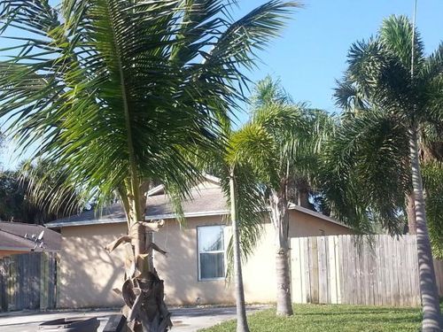 3955 Oswego Avenue, West Palm Beach, FL, 33409 | Card Image