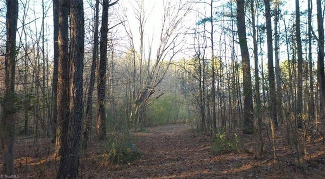 00 Farmstead Rd, Home with 0 bedrooms, 0 bathrooms and null parking in Seagrove NC | Image 19