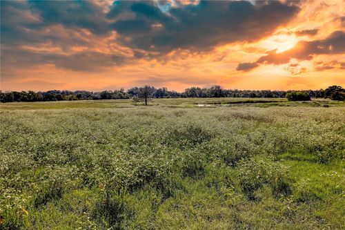 1197 Fm 489 W, Donie, TX, 75838-7126 | Card Image