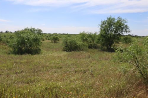 807 County Road 215, Rising Star, TX, 76471 | Card Image