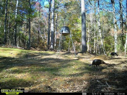 Seymour Rd S Seymour Road, Kilmichael, MS, 39747 | Card Image