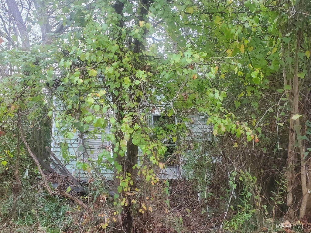 Land in Selma