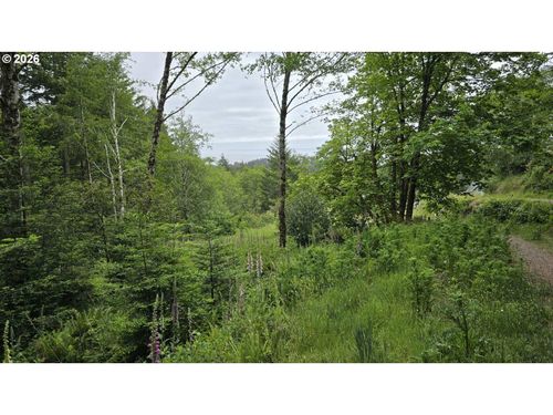 0 Whisper Ln, Brookings, OR, 97415 | Card Image