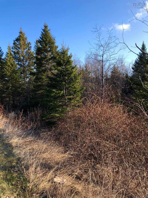 Lots 14 & 15 Highview & Clough Ave, Port Hastings, NS, B9A1K8 | Card Image