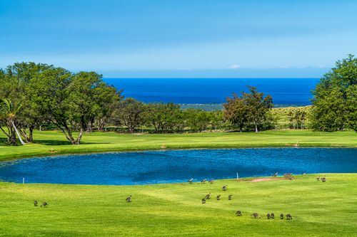 apt-a310-68-1754 Melia St, WAIKOLOA, HI, 96738-5562 | Card Image