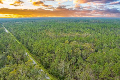 570ac N State Road 51, MAYO, FL, 32066-4161 | Card Image