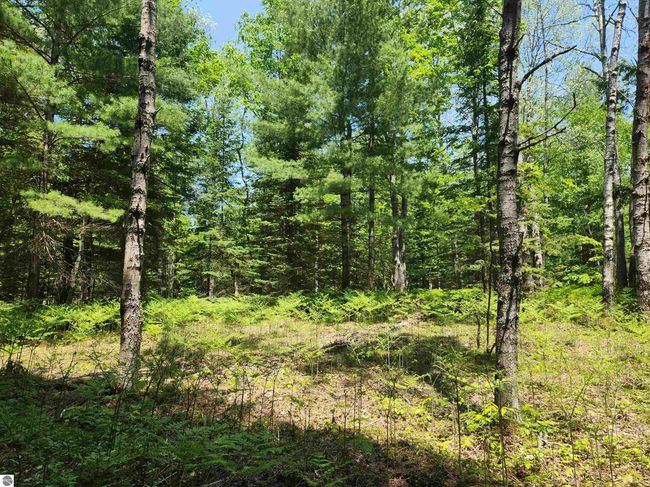 2867 Folks Rd Ne, Home with 0 bedrooms, 0 bathrooms and null parking in Kalkaska MI | Image 18
