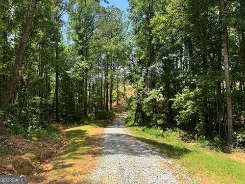 319 +/- AC Franklin Pkwy, Franklin, GA, 30217 | Card Image