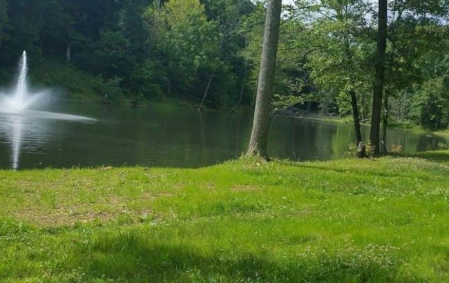 65 Deer Grass Ln, Home with 0 bedrooms, 0 bathrooms and null parking in Hurricane Mills TN | Image 10