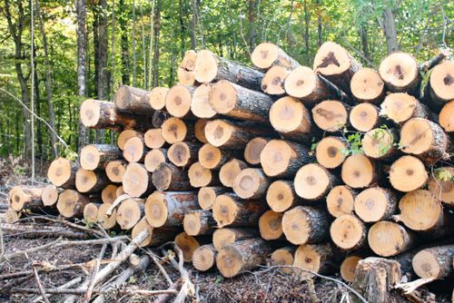 2448 Lost Nation Rd, East Haven, VT, 05837 | Card Image