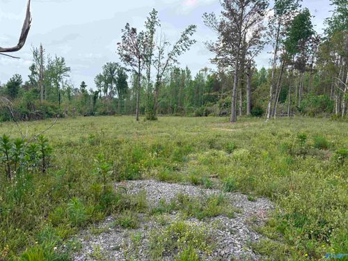 Lot 2 Highway 40, Henagar, AL, 35978 | Card Image