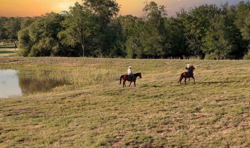 4 Bauer Rummel Rd, Round Top, TX, 78954 | Card Image