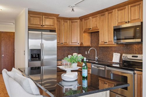 apt-501-410 Groveland Ave, Minneapolis, MN, 55403-3295 | Card Image