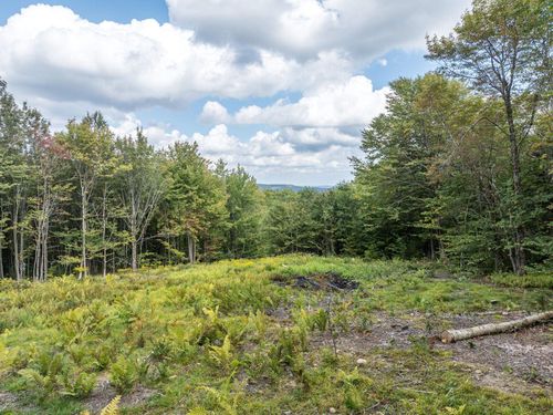 255 Route 8, Searsburg, VT, 05363 | Card Image