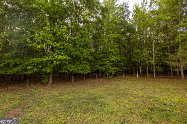 1776 Terrell Rd, House other with 4 bedrooms, 3 bathrooms and null parking in greenville GA | Image 32