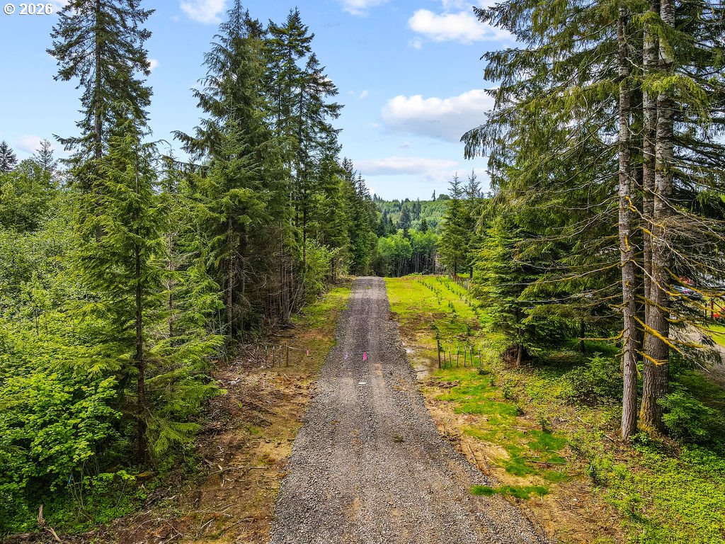 Land in Longview