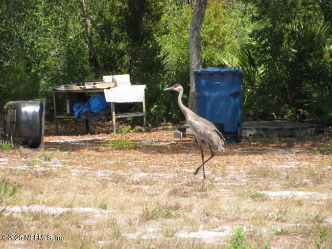 2155 State Road 40, Home with 0 bedrooms, 0 bathrooms and null parking in De Leon Springs FL | Image 34