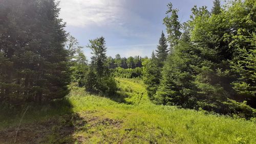 0 Summit Rd, Mount Holly, VT, 05758 | Card Image