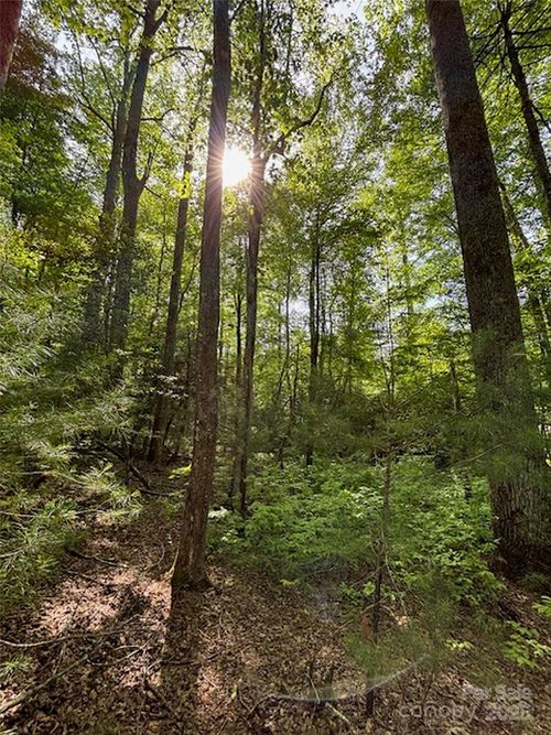 4-99999 Small Creek Rd, Brevard, NC, 28712 | Card Image