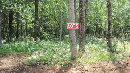 Lot 5 Birch Tree Trail, RUSK, WI, 54801 | Card Image