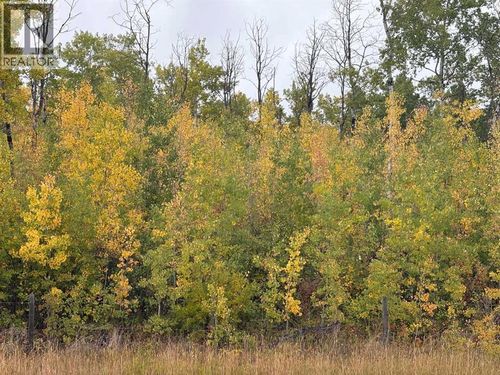 0 12 Foot Davis Road, Rural Northern Sunrise County, AB, T0H2E0 | Card Image