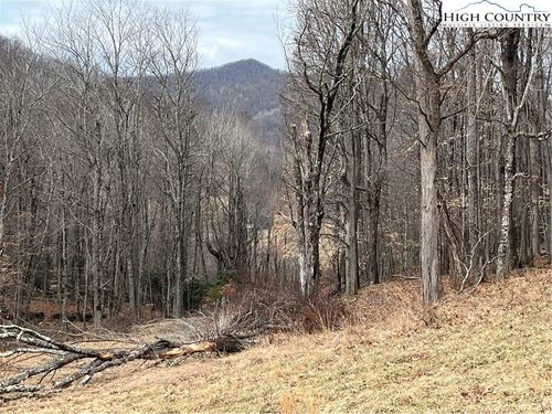Lot 38 Poplar Forest Drive, Boone, NC, 28607 | Card Image
