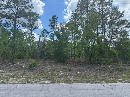 2984 W Liza Pl, DUNNELLON, FL, 34433-3272 | Card Image