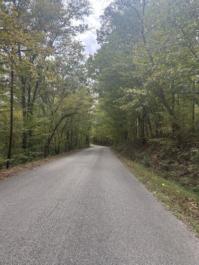 Beautiful road frontage with treed canopy (property to right side) | Image 2