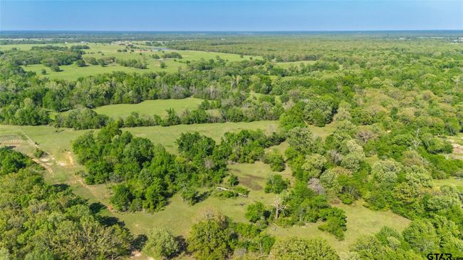 72 Acres N Farm Road 900, Home with 0 bedrooms, 0 bathrooms and null parking in Saltillo TX | Image 16