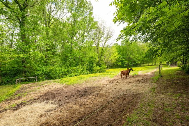 1628 Ketner Cove Rd, House other with 3 bedrooms, 3 bathrooms and 2 parking in Whitwell TN | Image 41