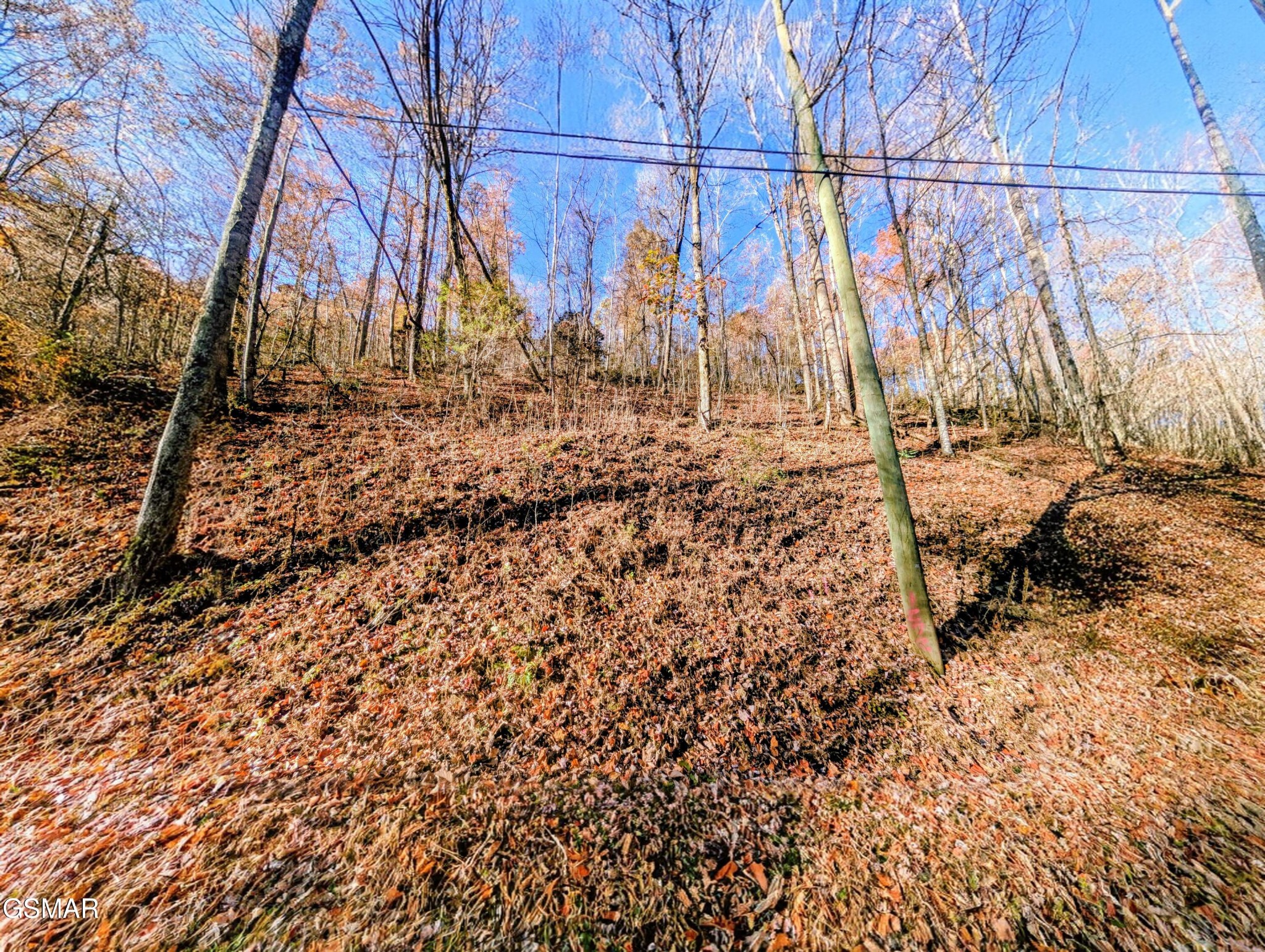 Land in Sevierville 2