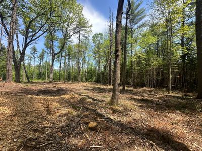 LOT-2 - LOT 2 Mountain Shadows Drive, Home with 0 bedrooms, 0 bathrooms and null parking in Tuftonboro NH | Image 2