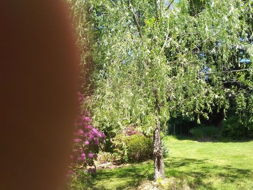 30 E Village Rd, Monroe, CT, 06468-1930 | Card Image