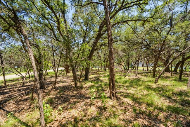 View of yard | Image 14