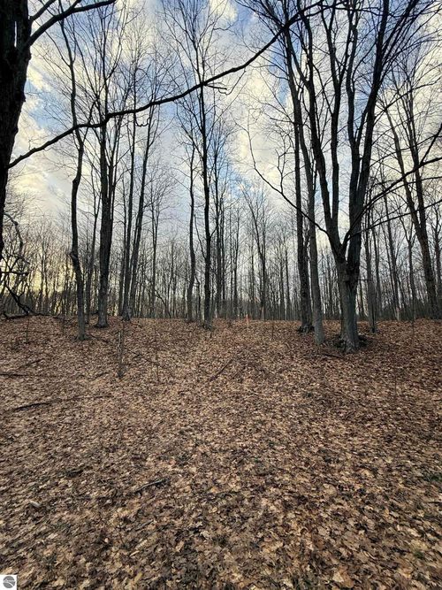 1208 S Ridge Ct, Traverse City, MI, 49696-7803 | Card Image