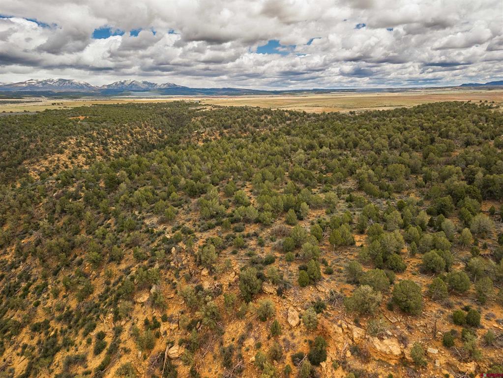 Land in Hesperus 4
