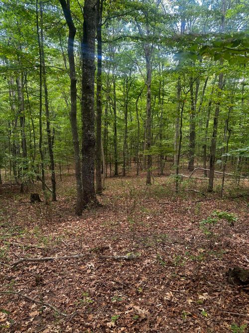 0 Horseshoe Ln, Sewanee, TN, 37375 | Card Image