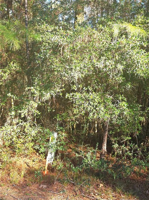 TBD Waterwood Bay Rd, Huntsville, TX, 77320 | Card Image