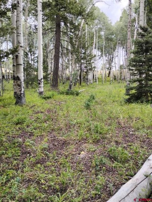 770 Ponderosa Way, Cimarron, CO, 81220-9536 | Card Image