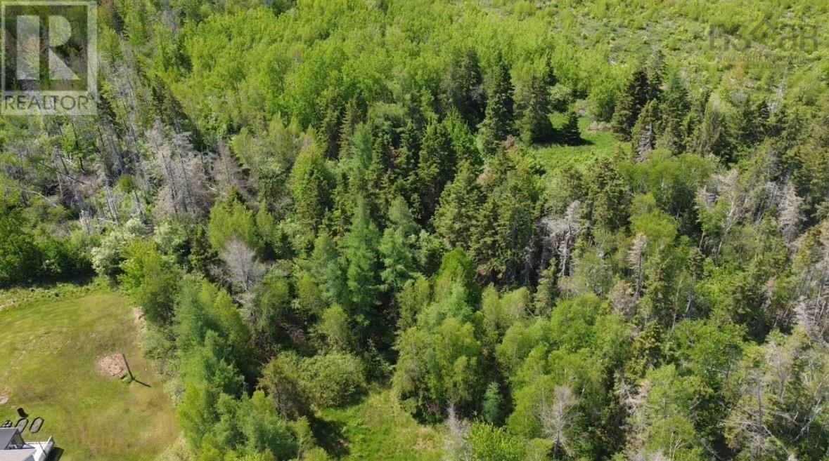 Land in Wallace 2