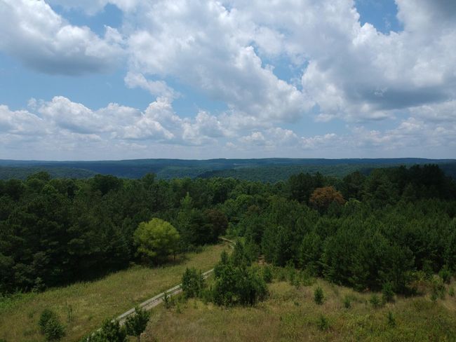 5199 Burkett Chapel Rd, Home with 4 bedrooms, 2 bathrooms and null parking in Whitwell TN | Image 11