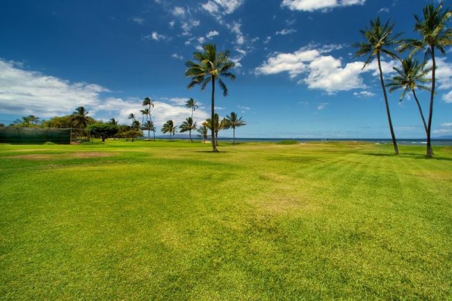 APT-523 - 938 S Kihei Rd, Condo with 1 bedrooms, 1 bathrooms and null parking in Kihei HI | Image 42