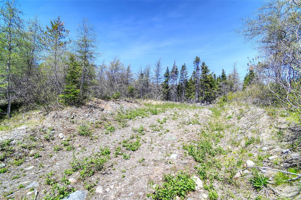 Land in Bay Roberts 3