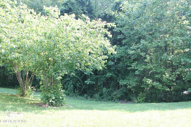 2122 Pickett Park Hwy, House other with 3 bedrooms, 2 bathrooms and null parking in Jamestown TN | Image 7