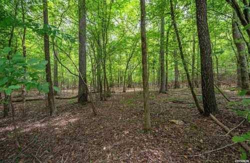 Lot 2 Baja Cir, Hot Springs Village, AR, 71909 | Card Image