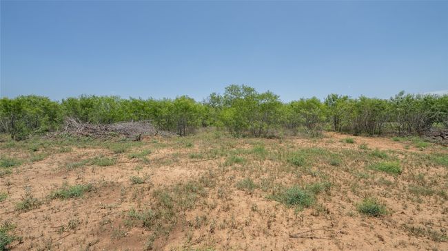 View of undeveloped land | Image 9